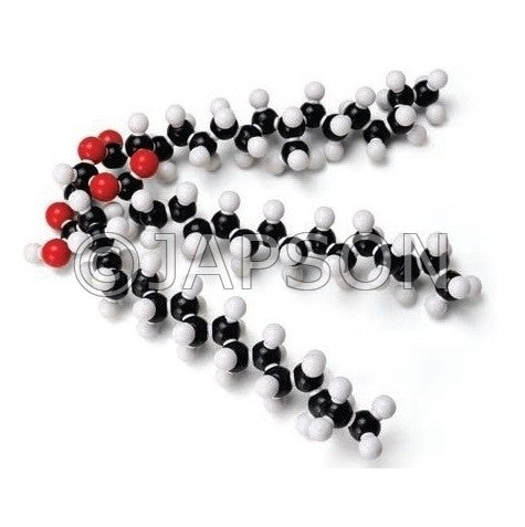 Molecular Model Set - Fat (Glyceryl Tristearate) Molecular Model Set - Fat (Glyceryl Tristearate)